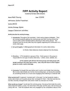 FIPP Activity Report 4 Matt Cheung 12/5/09