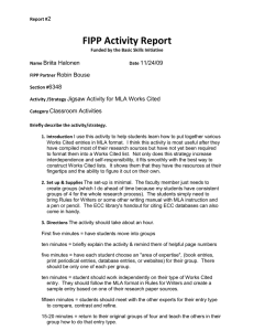 FIPP Activity Report 2 Briita Halonen 11/24/09