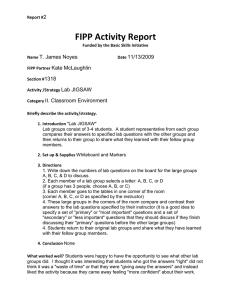 FIPP Activity Report 2 T. James Noyes 11/13/2009