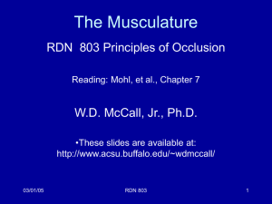 The Musculature RDN  803 Principles of Occlusion W.D. McCall, Jr., Ph.D.