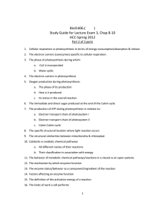 Study Guide-Lect Exam 3 (Part 2), HCC-SP'12.doc