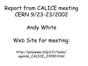CALICE_CERN-report