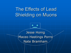Muon Shielding Study