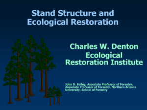 Stand Structure and Ecological Restoration PowerPoint Presentation by Charles Denton and John Bailey