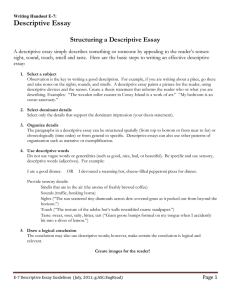 Description Essay Guidelines.doc