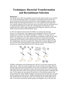 Bacterial Transformation Recombinant Selection (EXERCISE).doc