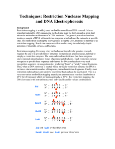 Restriction Nuclease Mapping DNA Electrophoresis (EXERCISE).doc