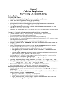 Biol 1406 notes Ch 9 8thed.doc