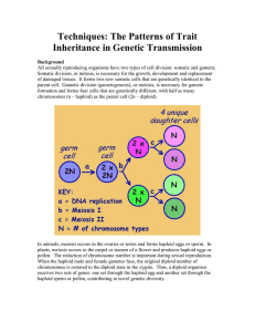 Patterns of Trait Inheritance in Genetic Transmission (EXERCISE).doc