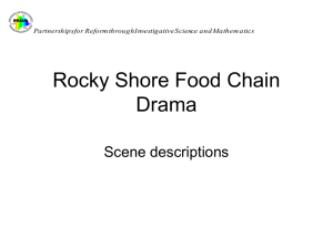 Lessons Six and Seven: Rock Shore Drama Scenes