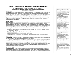 13-LESSON PLAN 5a.doc