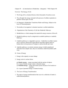 Chapter #8 Notes.doc