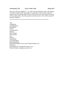 Anthropology 2301 Exam 2 Study Guide  Spring 2013