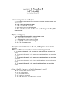 A P I self quiz ch11.doc