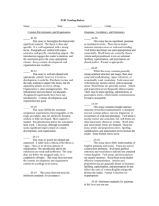 0349 Essay Rubric.doc