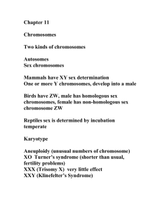 Chapter 11  Chromosomes Two kinds of chromosomes