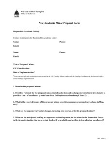 New Academic Minor Proposal Form