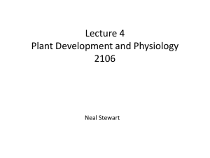 Plant Development and Physiology