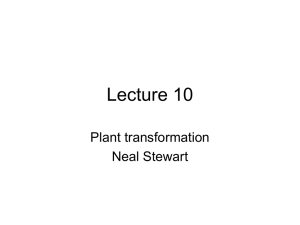 plant Transformation