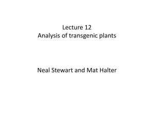 Lecture 12 Analysis of Transgenic Plants