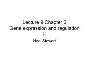 Lecture 9 Chapter 6 Gene expression and regulation II Neal Stewart