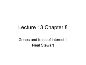 Lecture 13 Chapter 8 Genes and traits of interest II Neal Stewart