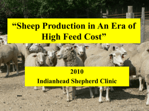 Sheep Production in an Era of Higher Flock Feed Costs, Indianhead Sheep Clinic, February 2010
