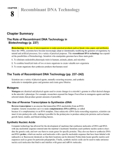 ch_08_study guide.doc