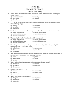 HORT 201 PRACTICE EXAM 1 (from Fall 1999)