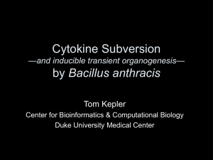 Cytokine subversion by B. anthracis