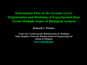 Information Flow at the Systems Level: The Organization and Modeling of Experimental Data Across Multiple Scales of Biological Analysis