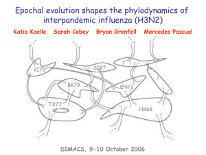 Epochal Evolution Shapes the Phylodynamics of