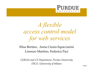 A Flexible Access Control Model for Web Services