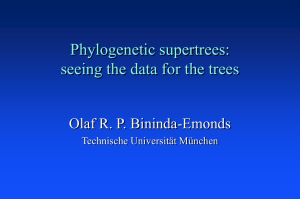 Phylogenetic Supertrees: Seeing the Data for the Trees