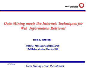 SLIDES: Data Mining Meets the Internet: Techniques for Web Information Retrieval