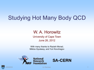 Studying Hot Many Body QCD