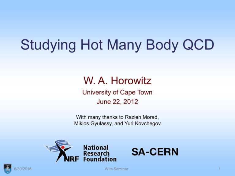 Studying Hot Many Body QCD