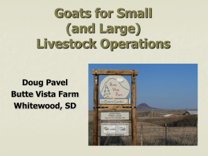 Goats for Livestock Operations
