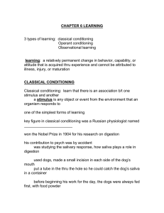 CHAPTER 6 LEARNING (Student Version).doc