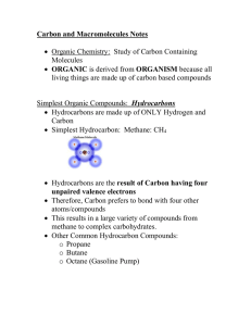 Carbon and Macromolecules