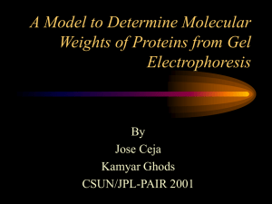 A Model to Determine Molecular Weights of Proteins from Gel Electrophoresis By