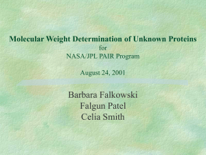 Barbara Falkowski Falgun Patel Celia Smith Molecular Weight Determination of Unknown Proteins