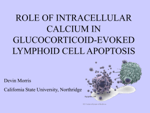 ROLE OF INTRACELLULAR CALCIUM IN GLUCOCORTICOID-EVOKED LYMPHOID CELL APOPTOSIS