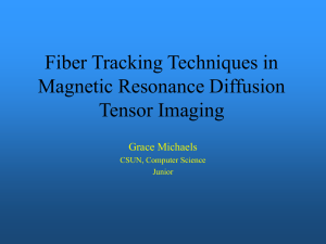 Fiber Tracking Techniques in Magnetic Resonance Diffusion Tensor Imaging Grace Michaels