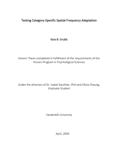 Testing Category-Specific Spatial Frequency Adaptation