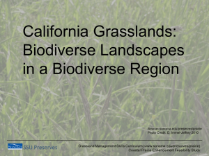 California Grasslands: Biodiverse Landscapes in a Biodiverse Region