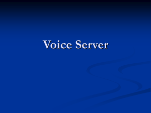 Voice Server