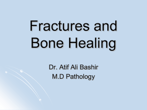 Fractures and Bone Healing Dr. Atif Ali Bashir M.D Pathology