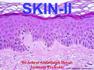 Skin pathology, infectious, autoimmune diseases