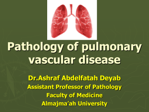 Pathology of lung vascular diseases